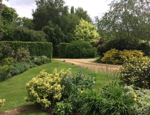 South Newington Gardens 2025