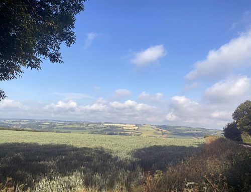 Monthly bereavement support group